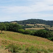 DSC09009