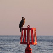 DSC09073
