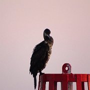 DSC09089