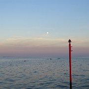 DSC09098