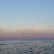 DSC09104