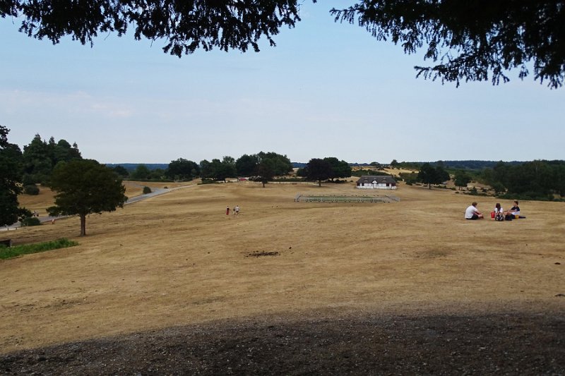 DSC09185