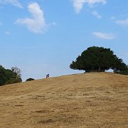 DSC09184