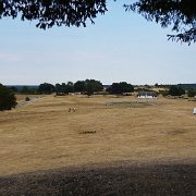 DSC09185