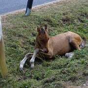 DSC09195