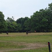 DSC09196