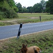 DSC09198