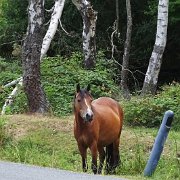 DSC09199