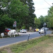 DSC09200