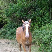 DSC09201