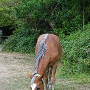 DSC09203