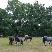 DSC09205