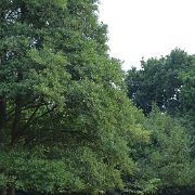 DSC09206
