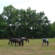 DSC09209