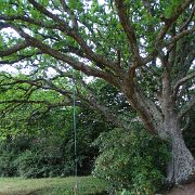 DSC09212
