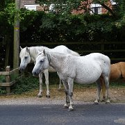 DSC09214