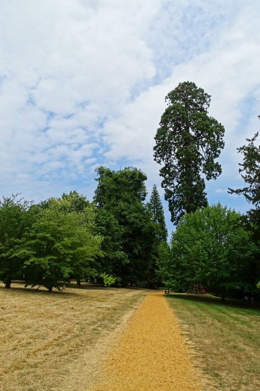 DSC09219