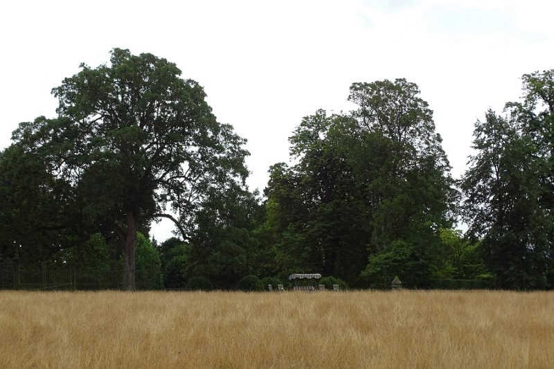 DSC09235