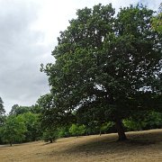 DSC09217