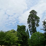 DSC09219