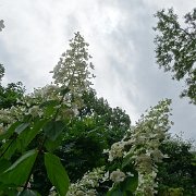 DSC09220