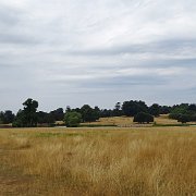 DSC09225