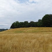 DSC09226