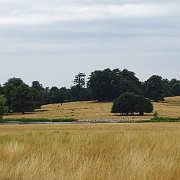 DSC09229