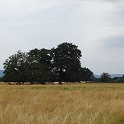 DSC09230