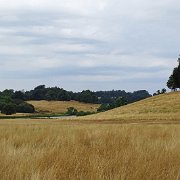 DSC09231