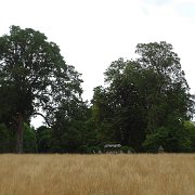 DSC09235