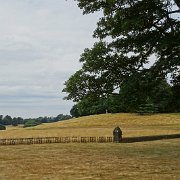 DSC09238