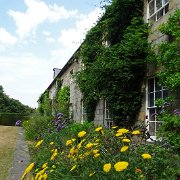DSC09320