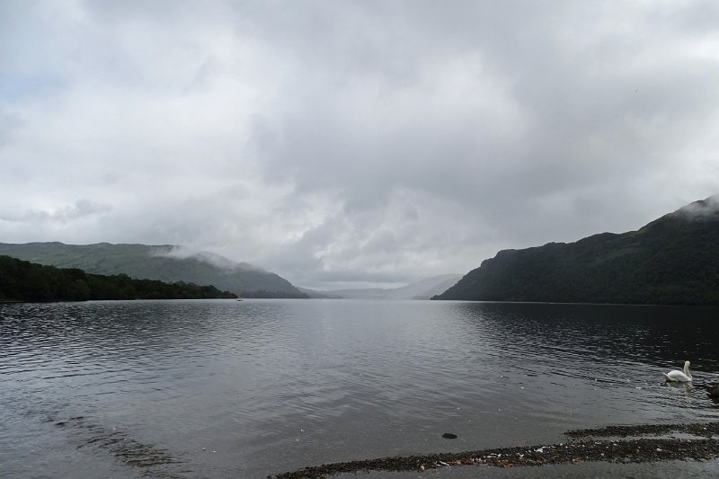 DSC03670