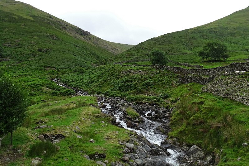 DSC03689