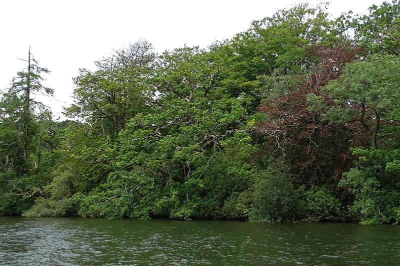 DSC03750