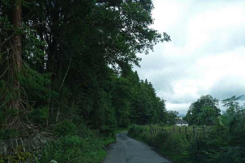 DSC03775