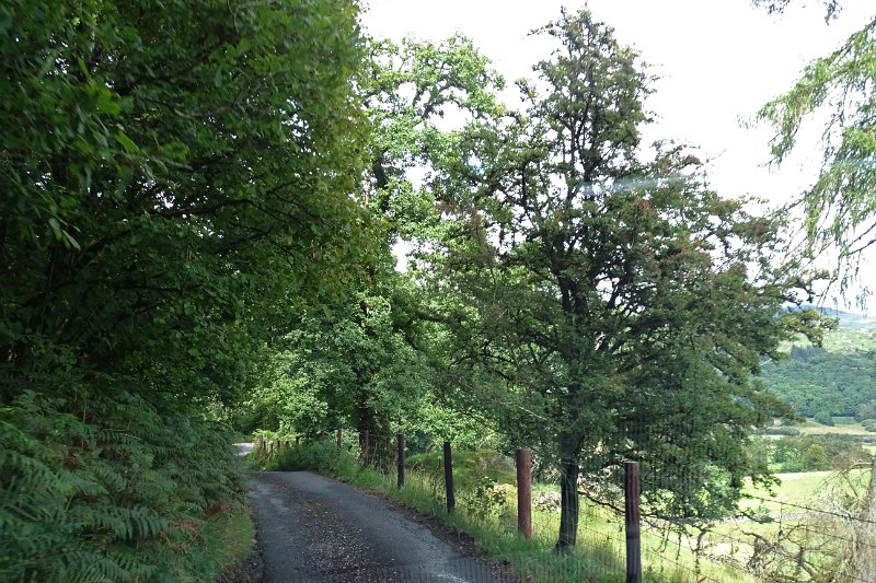 DSC03777