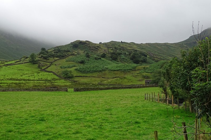 DSC03791