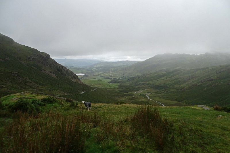 DSC03804