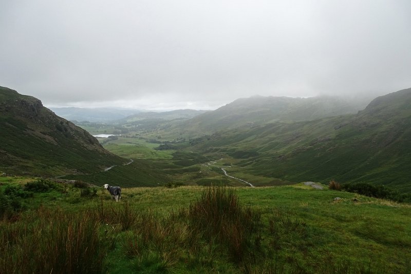 DSC03806