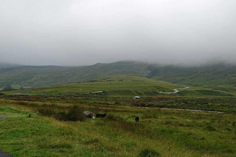 DSC03824
