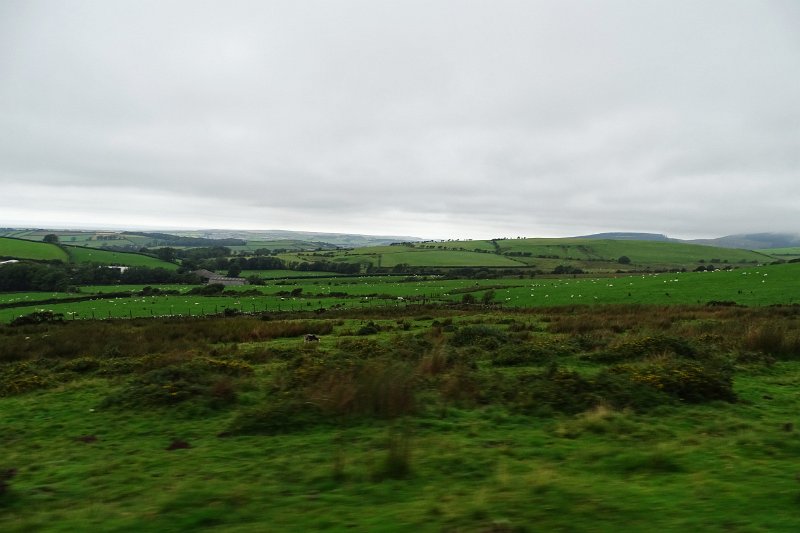 DSC03835