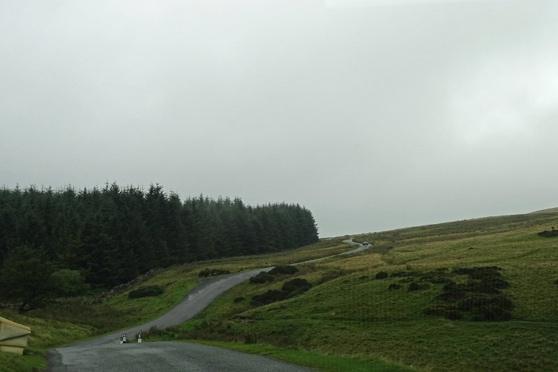 DSC03839