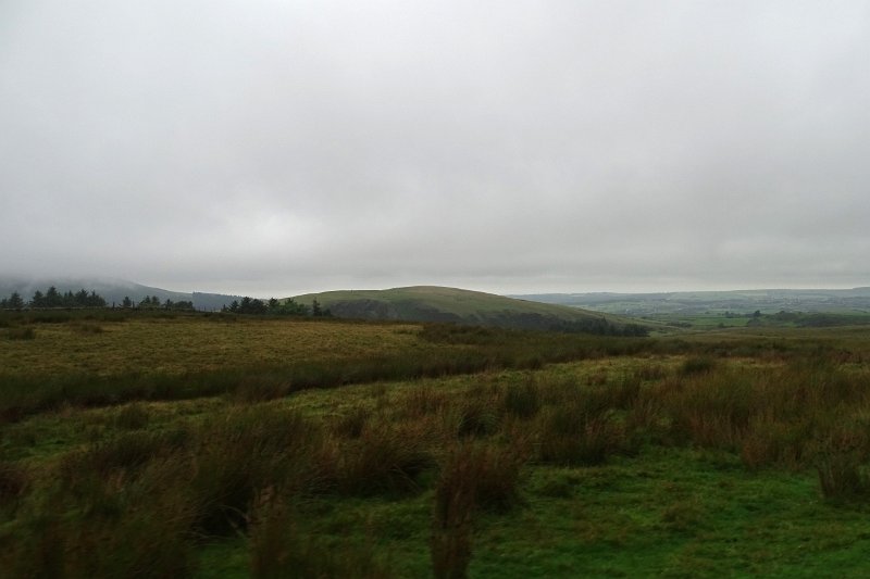 DSC03841