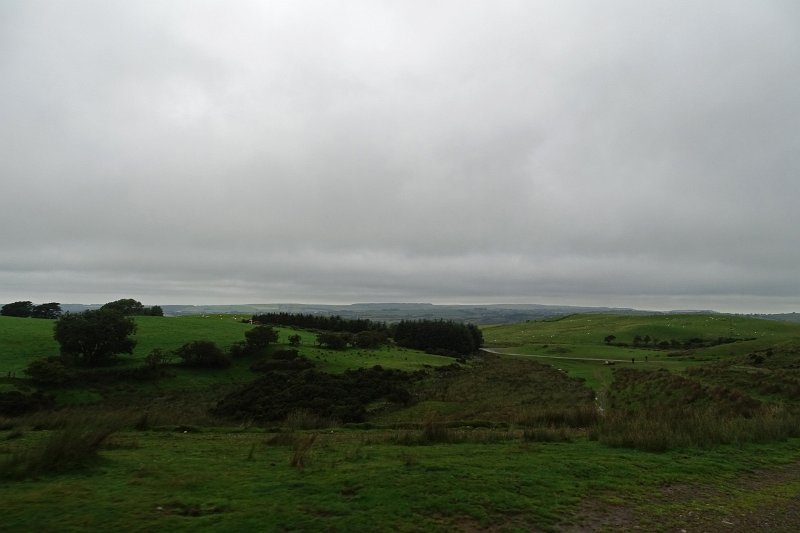 DSC03845
