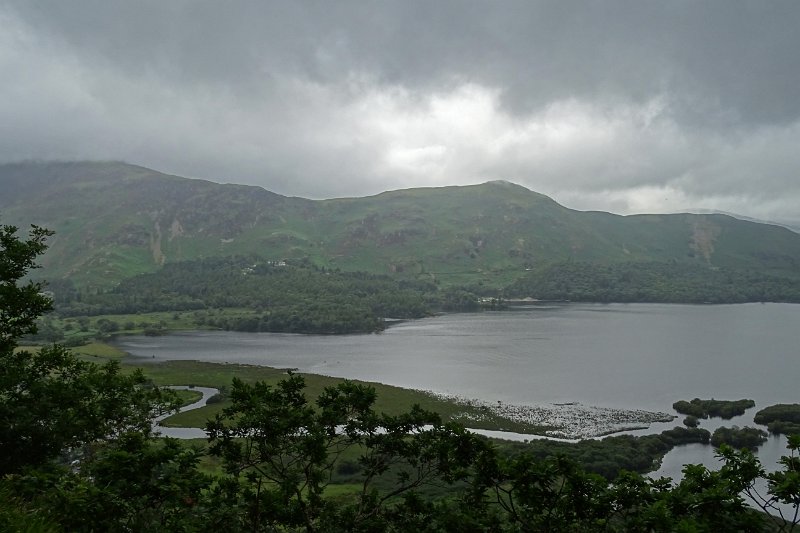 DSC03862