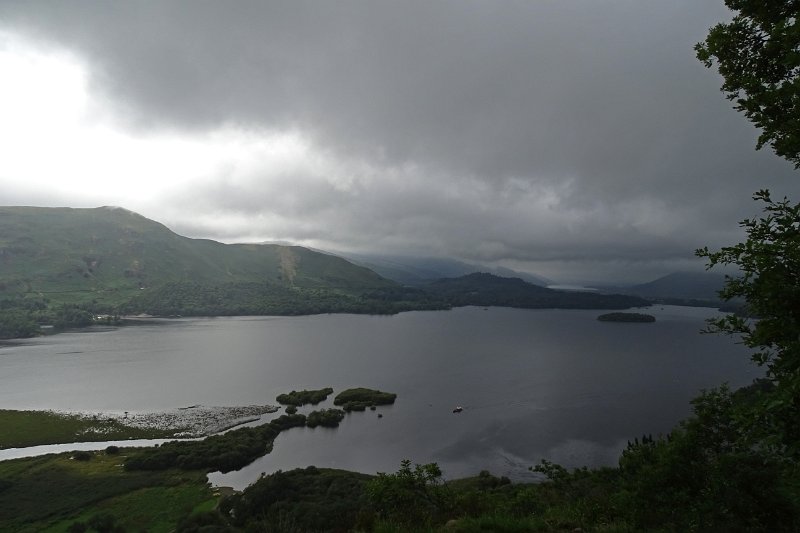 DSC03878