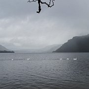 DSC03648