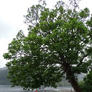 DSC03652